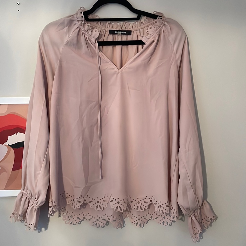 Vici sheer blush blouse. Size SM. Gently used. No stains. Minor rips at the hems